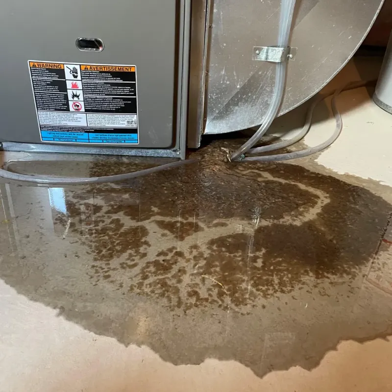 Appliance Leak Cleanup in Forsyth, MO