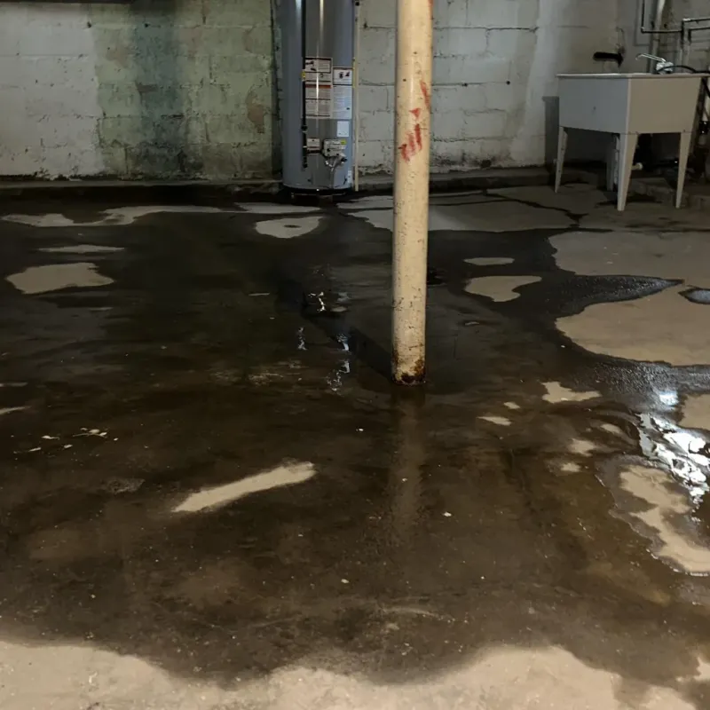 Emergency Water Extraction And Removal in Forsyth, MO
